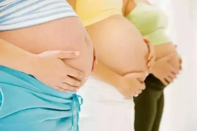 12.webp (1).jpg 12.webp (1).jpg