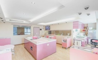 月子中心的感人故事